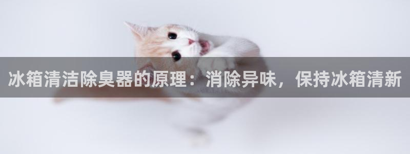 尊龙凯时ag旗舰厅官网客服