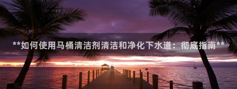 尊龙登录会员登录：**如何使用马桶清洁剂清洁和净化下水道