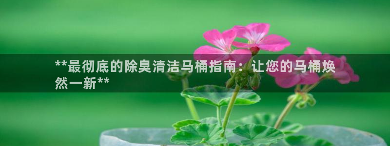 尊龙网站注册网：**
