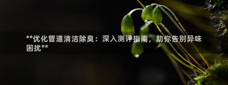 尊龙人生就是博l：**优化管道清洁除臭：深入测评指南，助