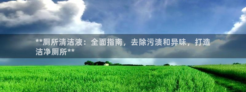 尊龙d88平台登录：**厕所清洁液：全面指南，去除污渍和