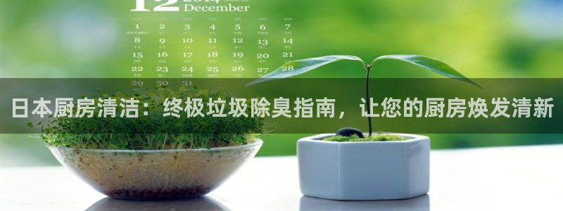 尊龙ag旗舰厅登录 租车app下载：日本厨房清洁：终极垃