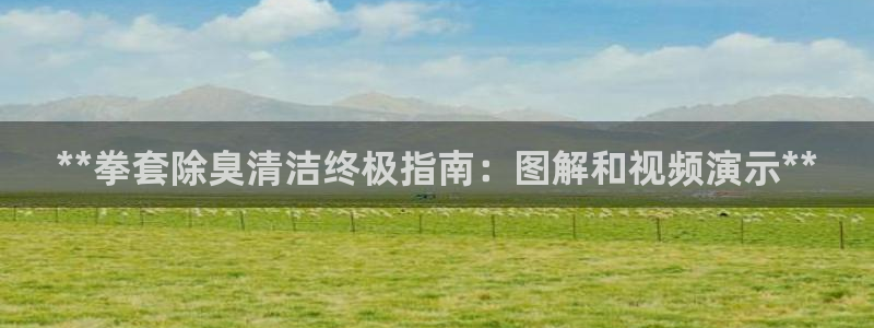 尊龙凯时官网登录入口：**拳套除臭清洁终极指南：图解和视