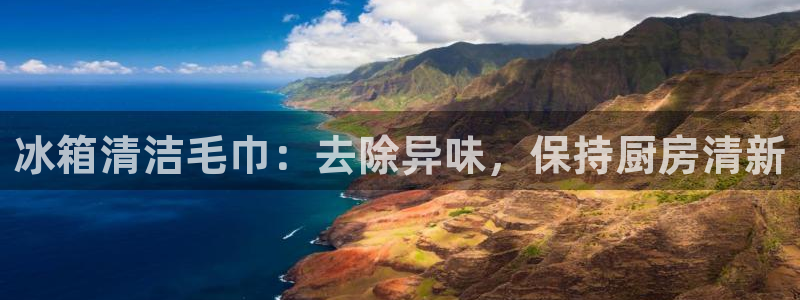尊龙凯时产品种类：冰箱清洁毛巾：去除异味，保持厨房清新