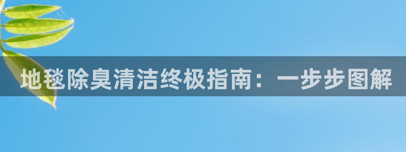 尊龙人生就是博现金： 地毯除臭清洁终极指南：一步步图解