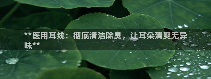 z6尊龙官网