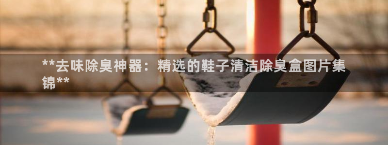 尊龙官网免费下载安装：**去味除臭神器：精选的鞋子清洁除