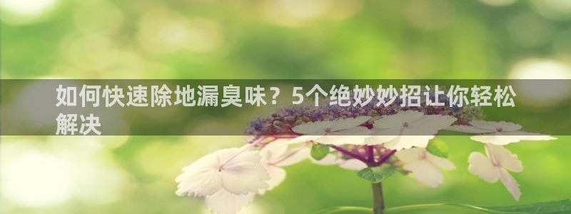 尊龙体育怎么样：如何