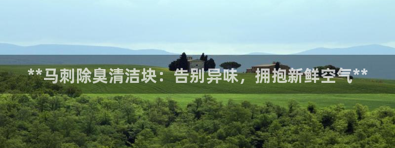 尊龙电子：**马刺除