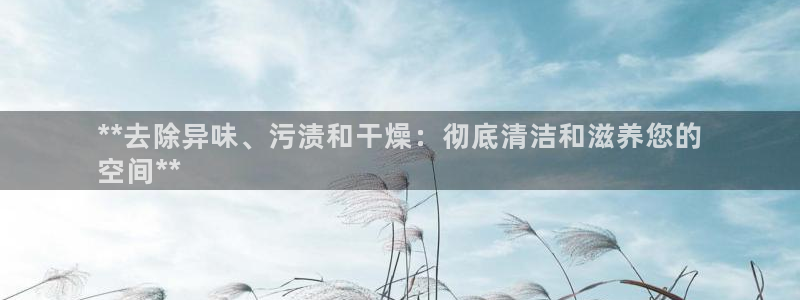 尊龙凯时存款多久到账