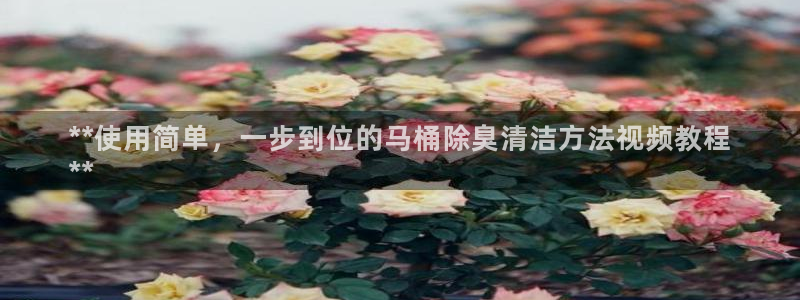 凯时官网联系方式：**使用简单，一步到位的马桶除臭清洁方