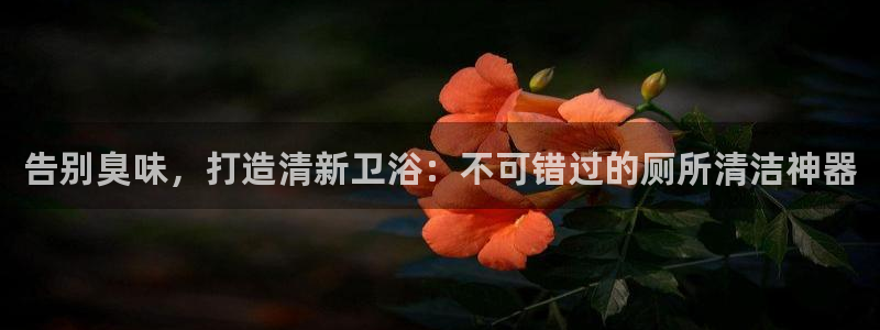 K66凯时国际平台官网