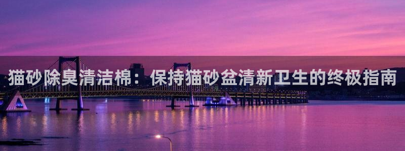 尊龙体育怎么样：猫砂除臭清洁棉：保持猫砂盆清新卫生的终极