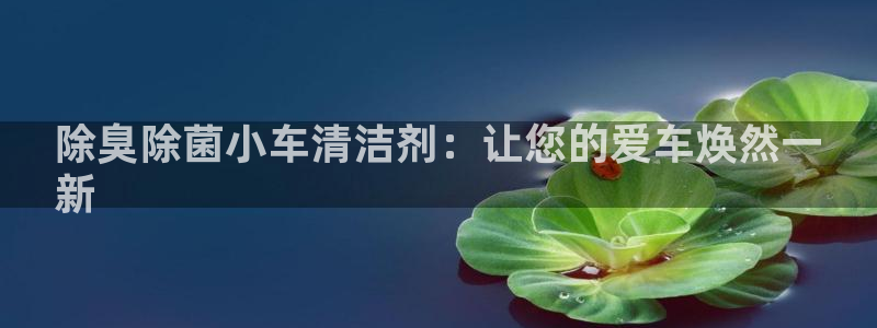 尊龙这个平台怎么样：除臭除菌小车清洁剂：让您的爱车焕然一