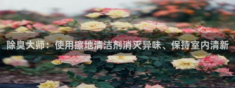 尊龙科技