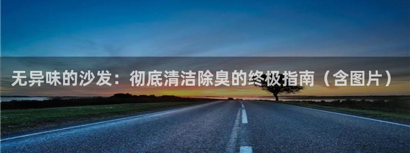 尊龙官网免费下载安卓：无异味的沙发：彻底清洁除臭的终极指
