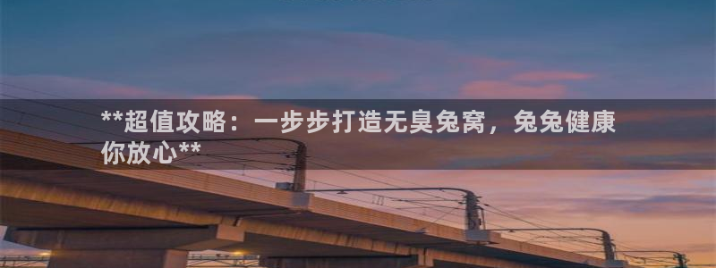 z6尊龙凯时旗舰厅首页：**超值攻略：一步步打造无臭兔窝