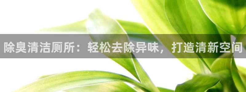 尊龙凯时网站赌愽是真的吗：除臭清洁厕所：轻松去除异味，打
