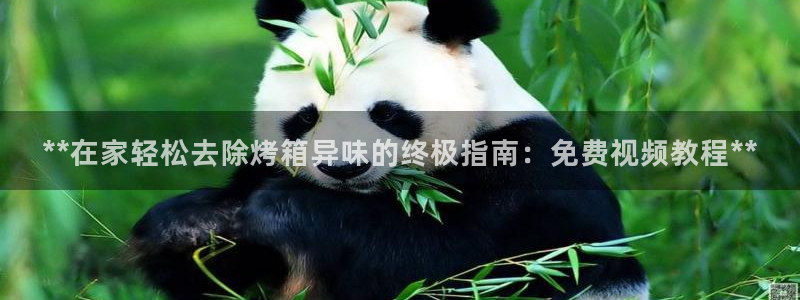 凯时首页地址：**在家轻松去除烤箱异味的终极指南：免费视