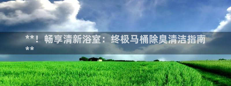 尊龙品牌怎么样：**！畅享清新浴室：终极马桶除臭清洁指南