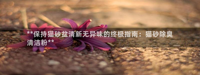 尊龙得过奥斯卡吗：**保持猫砂盆清新无异味的终极指南：猫