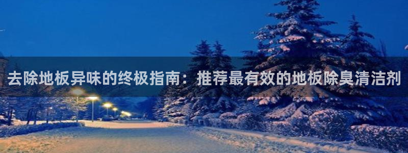 尊龙凯时发展历程：去除地板异味的终极指南：推荐最有效的地