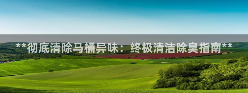 尊龙凯时家居是品牌吗：**彻底清除马桶异味：终极清洁除臭