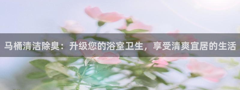 尊龙专访：马桶清洁除臭：升级您的浴室卫生，享受清爽宜居的
