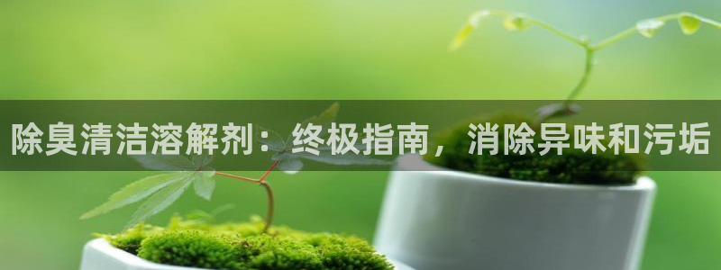 尊龙凯时人生就是搏包装优势：除臭清洁溶解剂：终极指南，消