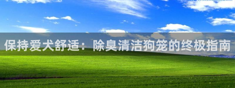 尊龙凯时ag旗舰厅登陆：保持爱犬舒适：除臭清洁狗笼的终极