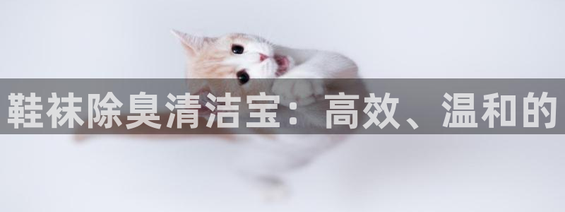 凯时国际app首页