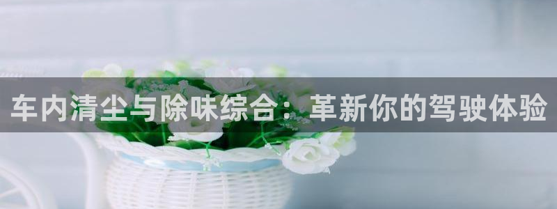 尊龙AG旗舰厅官网