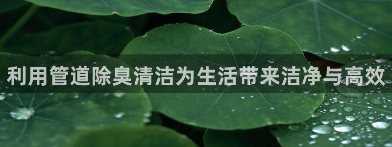 尊龙人生就是博i可靠吗