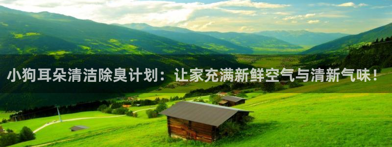 z6com尊龙凯时代理