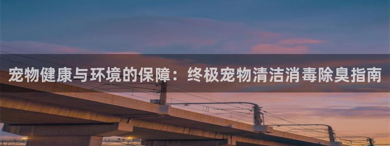 尊龙人生就是博旧版手机可靠送38元