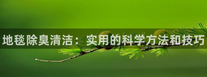 凯时平台app