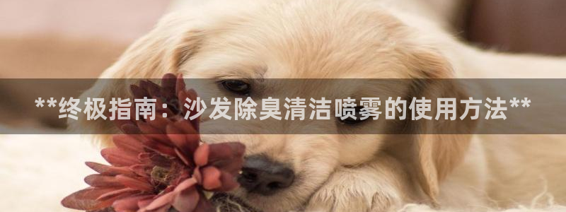 尊龙官网：**终极指