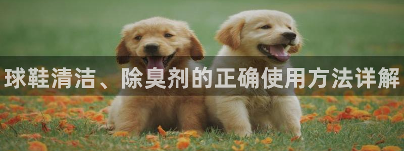 尊龙凯时代理