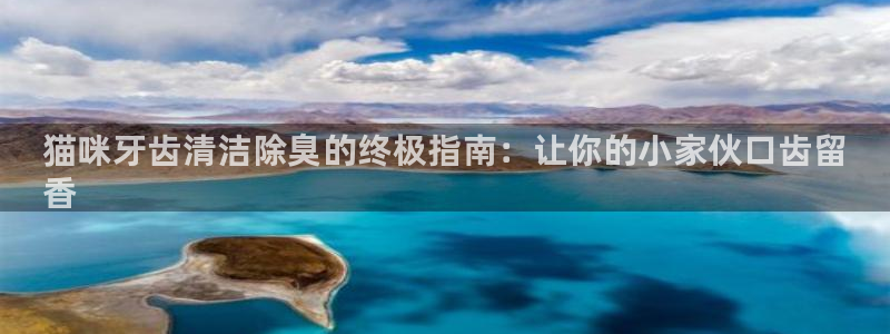 尊龙人生就是博网站：猫咪牙齿清洁除臭的终极指南：让你的小
