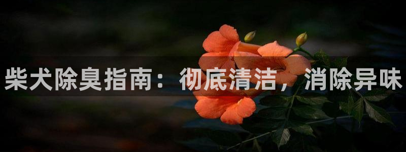 尊龙手机官方客户端下